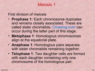 Meiosis KM 22
Meiosis 1
First division of meiosis
• Prophase 1: Each chromosome dupicates
and remains closely associated. These are
called sister chromatids. Crossing-over can
occur during the latter part of this stage.
• Metaphase 1: Homologous chromosomes
align at the equatorial plate.
• Anaphase 1: Homologous pairs separate
with sister chromatids remaining together.
• Telophase 1: Two daughter cells are formed
with each daughter containing only one
chromosome of the homologous pair.
 