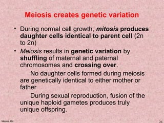 Meiosis KM 26
Meiosis creates genetic variation
• During normal cell growth, mitosis produces
daughter cells identical to parent cell (2n
to 2n)
• Meiosis results in genetic variation by
shuffling of maternal and paternal
chromosomes and crossing over.
No daughter cells formed during meiosis
are genetically identical to either mother or
father
During sexual reproduction, fusion of the
unique haploid gametes produces truly
unique offspring.
 