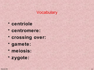Meiosis KM 37
Vocabulary
• centriole
• centromere:
• crossing over:
• gamete:
• meiosis:
• zygote:
 