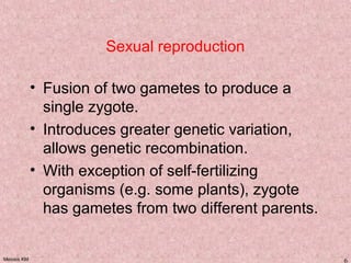 Meiosis KM 6
Sexual reproduction
• Fusion of two gametes to produce a
single zygote.
• Introduces greater genetic variation,
allows genetic recombination.
• With exception of self-fertilizing
organisms (e.g. some plants), zygote
has gametes from two different parents.
 