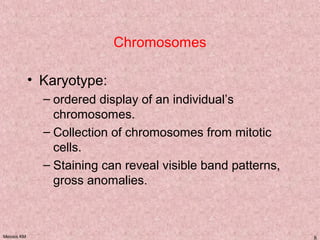 Meiosis KM 8
Chromosomes
• Karyotype:
– ordered display of an individual’s
chromosomes.
– Collection of chromosomes from mitotic
cells.
– Staining can reveal visible band patterns,
gross anomalies.
 