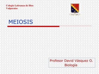 MEIOSIS Profesor David Vásquez O. Biología Colegio Labranza de Dios Valparaíso 
