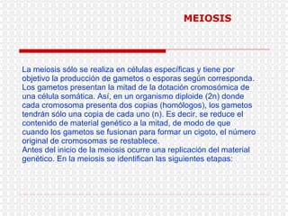 La meiosis sólo se realiza en células específicas y tiene por objetivo la producción de gametos o esporas según corresponda.  Los gametos presentan la mitad de la dotación cromosómica de una célula somática. Así, en un organismo diploide (2n) donde cada cromosoma presenta dos copias (homólogos), los gametos tendrán sólo una copia de cada uno (n). Es decir, se reduce el contenido de material genético a la mitad, de modo de que cuando los gametos se fusionan para formar un cigoto, el número original de cromosomas se restablece. Antes del inicio de la meiosis ocurre una replicación del material genético. En la meiosis se identifican las siguientes etapas:   MEIOSIS 