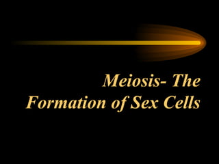 Meiosis- The Formation of Sex Cells 