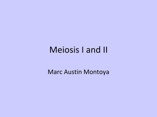 Meiosis I and II

Marc Austin Montoya
 