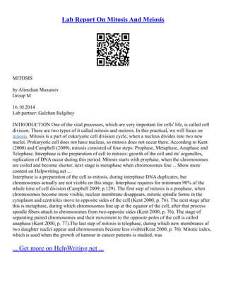 Meiosis And Mitosis Lab | PDF