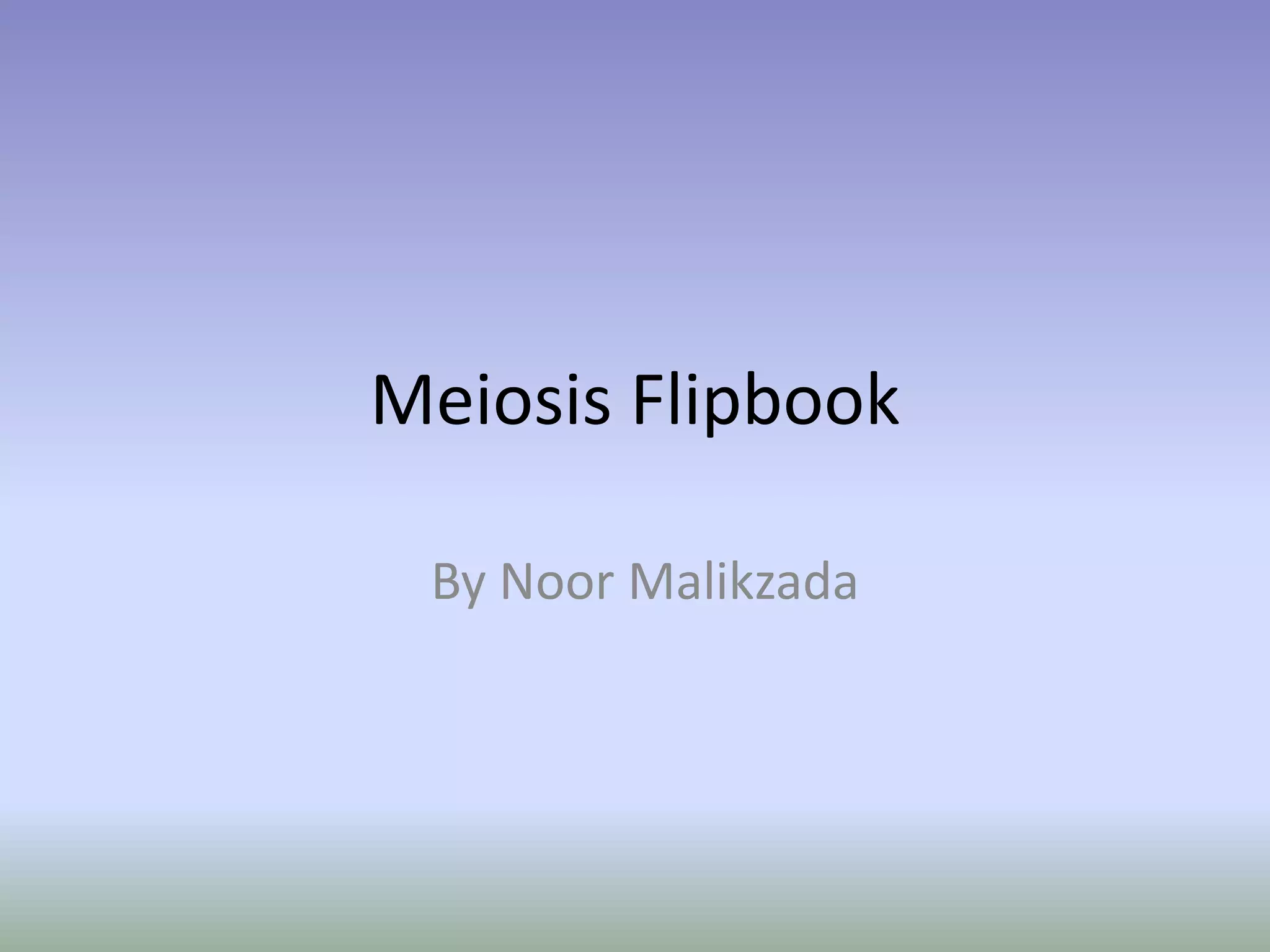 Meiosis flipbook | PPTX