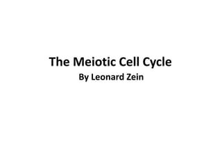 The Meiotic Cell Cycle By Leonard Zein 