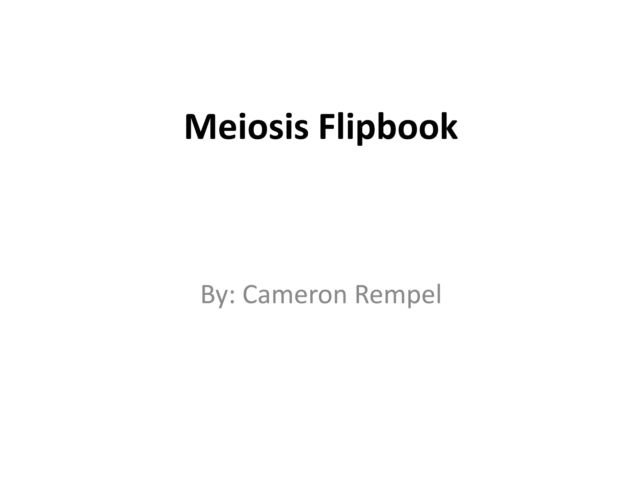 Meiosis Flipbook | PPTX