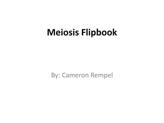 Meiosis Flipbook By: Cameron Rempel 