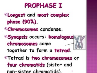 Meiosis gamete production with turning point | PPT
