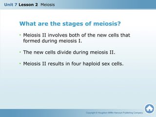 Meiosis grade 8 | PPT