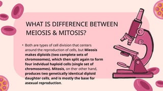 Cell Division: Meiosis Powerpoint Presentation.pptx