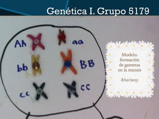 Genética I. Grupo 5179
 
