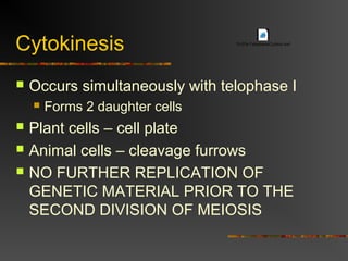 Cytokinesis
 Occurs simultaneously with telophase I
 Forms 2 daughter cells
 Plant cells – cell plate
 Animal cells – cleavage furrows
 NO FURTHER REPLICATION OF
GENETIC MATERIAL PRIOR TO THE
SECOND DIVISION OF MEIOSIS
13-07e-TelophaseICytokin.swf
 