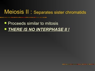 Meiosis II : Separates sister chromatids
 Proceeds similar to mitosis
 THERE IS NO INTERPHASE II !
 