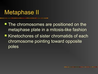 Metaphase II
 The chromosomes are positioned on the
metaphase plate in a mitosis-like fashion
 Kinetochores of sister chromatids of each
chromosome pointing toward opposite
poles
 