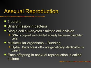 Asexual Reproduction
 1 parent
 Binary Fission in bacteria
 Single cell eukaryotes : mitotic cell division
 DNA is copied and divided equally between daughter
cells
 Multicellular organisms – Budding
 Hydra : Buds break off – are genetically identical to its
parent
 Each offspring in asexual reproduction is called
a clone
 