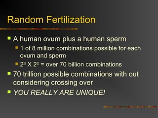 Random Fertilization
 A human ovum plus a human sperm
 1 of 8 million combinations possible for each
ovum and sperm
 223
X 223
= over 70 billion combinations
 70 trillion possible combinations with out
considering crossing over
 YOU REALLY ARE UNIQUE!
 