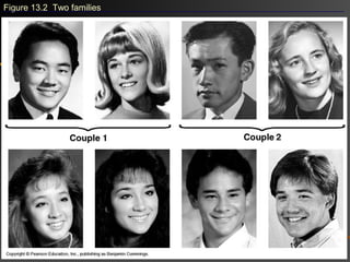 Figure 13.2 Two families
 