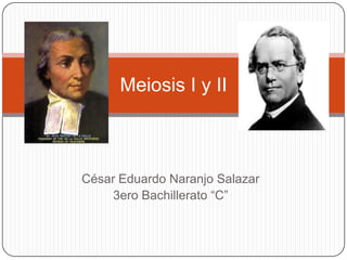 Meiosis I y II



César Eduardo Naranjo Salazar
     3ero Bachillerato “C”
 