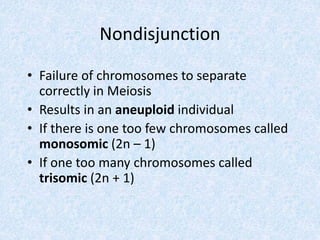 Nondisjunction
• Failure of chromosomes to separate
correctly in Meiosis
• Results in an aneuploid individual
• If there is one too few chromosomes called
monosomic (2n – 1)
• If one too many chromosomes called
trisomic (2n + 1)
 