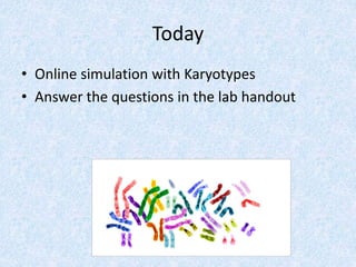 Today
• Online simulation with Karyotypes
• Answer the questions in the lab handout
 
