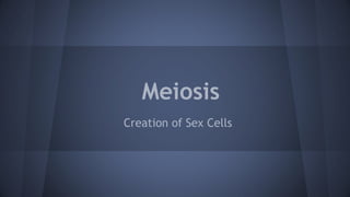 Meiosis
Creation of Sex Cells

 