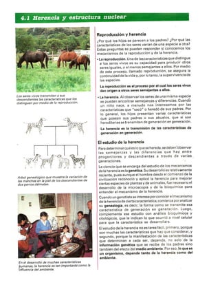 Caracteres Hereditarios