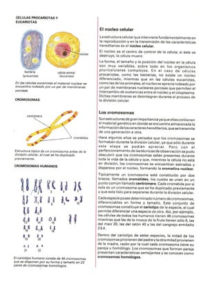 Caracteres Hereditarios