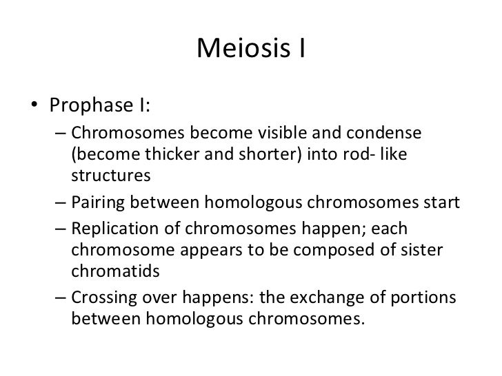 meiosis ppt meiosis powerpoint