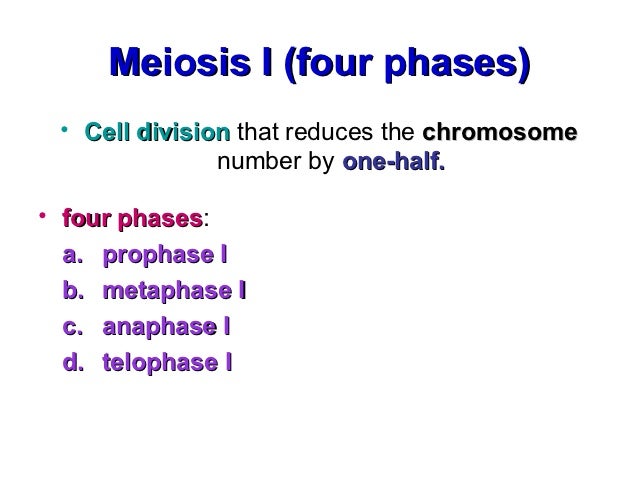 meiosis ppt 20 638 jpg cb 1350901925 meiosis powerpoint