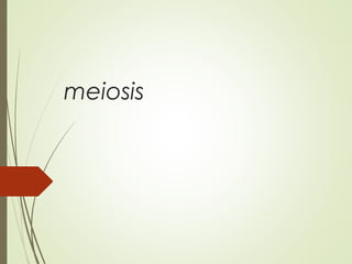 meiosis
 