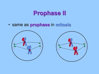 meiosis ppt.2014.ppt