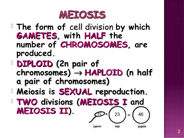 Meiosis Reduction Division