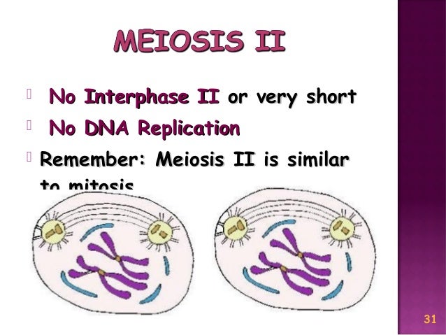 Meiosis Reduction Division