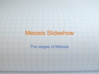 Meiosis Slideshow The stages of Meiosis 