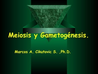 Meiosis y   Gametogénesis. Marcos A. Cikutovic S. ,Ph.D.   