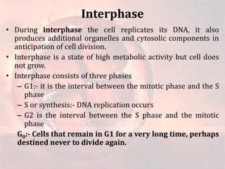 Meiotic cell division | PPSX