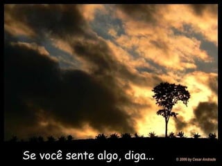 Se você sente algo, diga...   