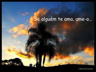 Se alguém te ama, ame-o.. . 