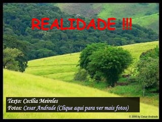 REALIDADE !!!   Texto: Cecília Meireles Fotos:  Cesar  Andrade (Clique aqui para ver mais fotos)  