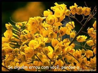 Se alguém errou com você, perdoa-o...   