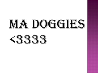 Ma doggies <3333