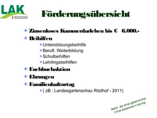 Förderungsübersicht
Zinsenloses Kammerdarlehen bis € 6.000.-
Beihilfen
     Unterstützungsbeihilfe
     Berufl. Weiterbildung
     Schulbeihilfen
     Lehrlingsbeihilfen
Fachbuchaktion
Ehrungen
Familienkulturtag
     ( zB : Landesgartenschau Ritzlhof - 2011)

                                                                  i ch e
                                                        geset z l ng
                                                                   u
                                               ls ei ne er t r et
                                            r a        sv
                                       M eh er essen
                                         I nt
 
