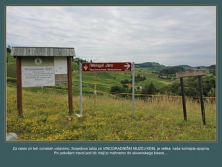 Za cesto pri teh oznakah ustavimo. Sosedova tabla za VINOGRADNIŠKI MUZEJ KEBL je velika, naša komajda opazna.
Po pokošeni travni poti ob meji jo mahnemo do slovenskega bisera…
 