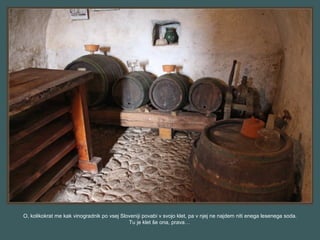 O, kolikokrat me kak vinogradnik po vsej Sloveniji povabi v svojo klet, pa v njej ne najdem niti enega lesenega soda.
Tu je klet še ona, prava…
 