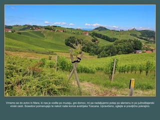 Vrnemo se do avtov in Mara, ki nas je vodila po muzeju, gre domov, mi pa nadaljujemo potep po slemenu in po južnoštajerski
vinski cesti. Sosedovi poimenujejo te nekoč naše konce avstrijska Toscana. Upravičeno, oglejte si pravljično pokrajino.
 