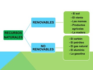 RECURSOS
NATURALES
RENOVABLES
- El sol
- El viento
- Las mareas
- Productos
agrícolas
- La madera
NO
RENOVABLES
- El carbón
- El petróleo
- El gas natural
- El aluminio
- La gasolina
 