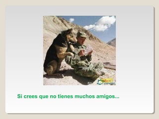 Si crees que no tienes muchos amigos...
 